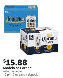 Fareway Modelo or Corona offer