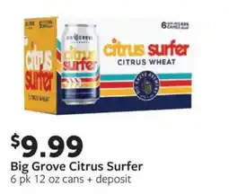 Fareway Big Grove Citrus Surfer offer