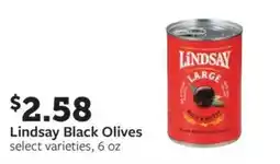 Fareway Lindsay black olives offer
