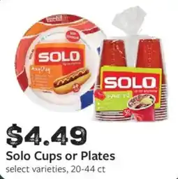 Fareway Solo Cups or Plates offer