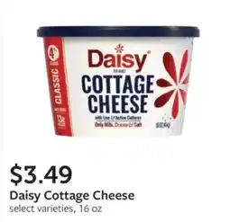 Fareway Daisy Cottage Cheese offer