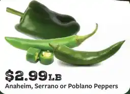 Fareway Anaheim, Serrano or Poblano Peppers offer
