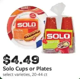 Fareway Solo Cups or Plates offer