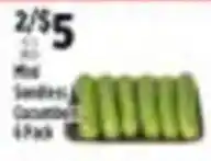 Pioneer Supermarkets Mini Seedless Cucumbers offer