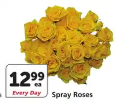 Albertsons Spray Roses offer
