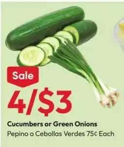 Stater Bros Cucumbers or Green Onions offer
