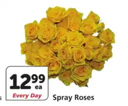 Vons Spray Roses offer