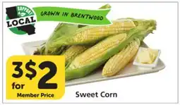 Vons Sweet Corn offer