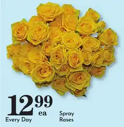 Pavilions Spray Roses offer