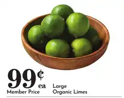 Pavilions Large Organic Limes offer
