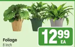 Tony’s Fresh Market Foliage offer