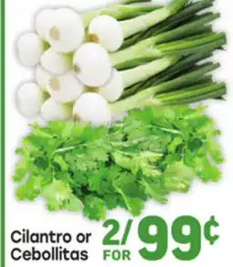 Tony’s Fresh Market Cilantro or Cebollitas offer