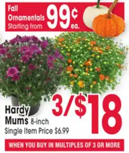 Jewel-Osco Hardy Mums offer