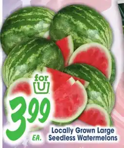 Jewel-Osco Locally Grown Large Seedless Watermelons offer