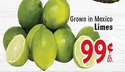 Rio Valley Market Limes offer