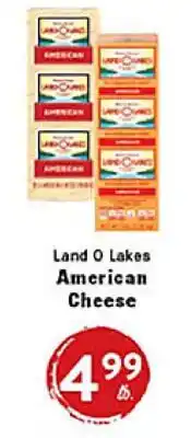 Rio Valley Market Land O Lakes American Cheese offer