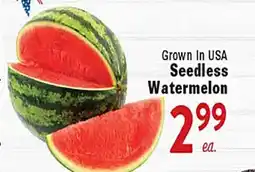 Rio Valley Market Seedless Watermelon offer