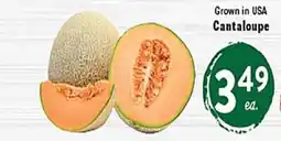 Rio Valley Market Cantaloupe offer