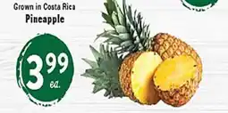Rio Valley Market Pineapple offer