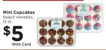 Mini Cupcakes
