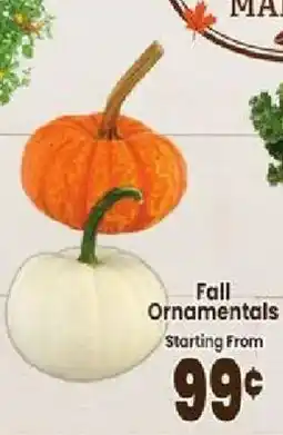 Jewel-Osco Fall Ornamentals offer