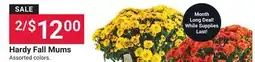 Ace Hardware Hardy Fall Mums offer