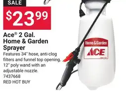 Ace Hardware Ace 2 Gal. Home & Garden Sprayer offer