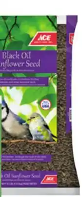 Ace Hardware ACE Black Oil Sunflower Seed offer