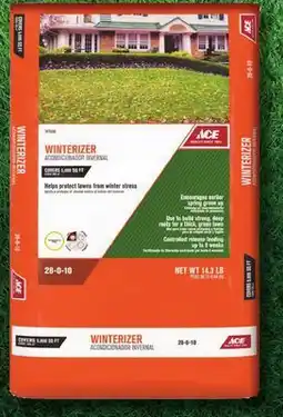 Ace Hardware Ace Winterizer offer