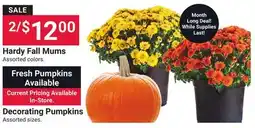 Ace Hardware Decorating Pumpkins offer