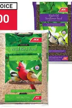 Ace Hardware ACE Black Oil Sunflower Seed, 10 LB offer