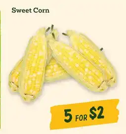 Sprouts Farmers Market Sweet Corn offer