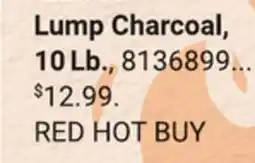 Ace Hardware Lump Charcoal offer
