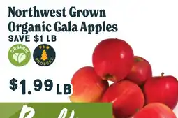 Market of Choice Northwest Grown Organic Gala Apples offer