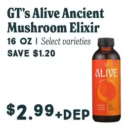 Market of Choice Gt's Alive Ancient Mushroom Elixir offer