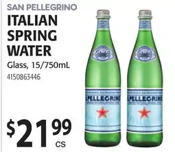 Restaurant Depot SAN PELLEGRINO ITALIAN SPRING WATER offer