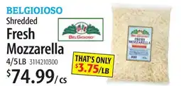 Restaurant Depot BELGIOIOSO Shredded Fresh Mozzarella offer