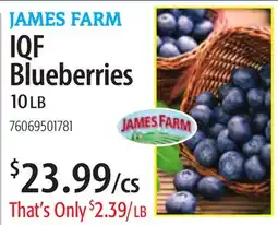Restaurant Depot JAMES FARM IQF Blueberries offer