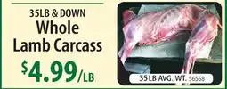 Restaurant Depot Whole Lamb Carcass offer