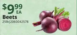 Restaurant Depot Beets offer