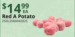 Restaurant Depot Red A Potato offer
