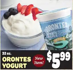 Gristedes Orontes Yogurt offer