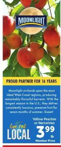 Safeway Yellow Peaches or Nectarines offer