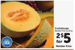 Safeway Cantaloupe offer