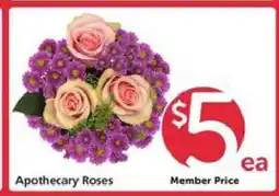 Safeway Apothecary Roses offer