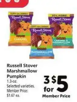 Safeway Russell Stover Marshmallow Pumpkin offer