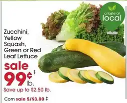 Giant Eagle Zucchini, Yellow Squash, Green or Red Leaf Lettuce offer