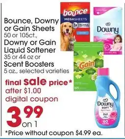 Giant Eagle Bounce, Downy or Gain Sheets, Liquid Softener, or Scent Boosters offer
