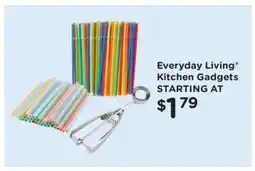 Kroger Everyday Living Kitchen Gadgets offer