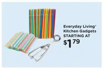 Everyday Living Kitchen Gadgets